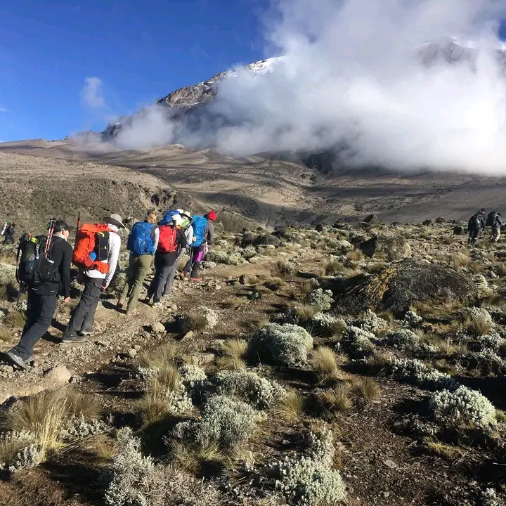 5 Days Mount Kilimanjaro climbing Itinerary on Marangu Route