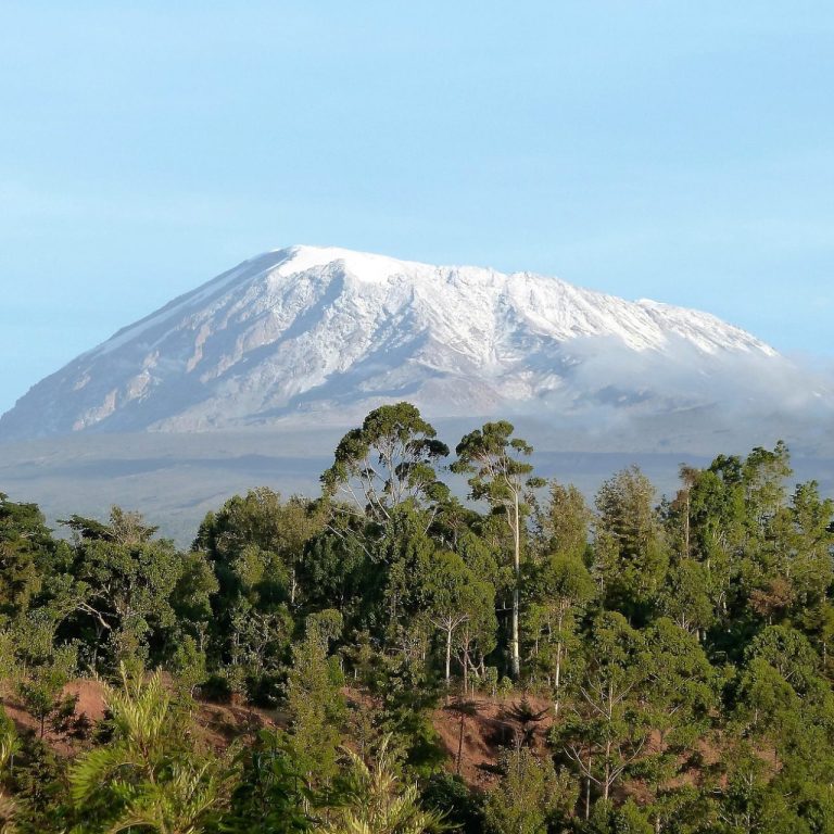 6 Days Mount Kilimanjaro climbing Itinerary on Shira Route