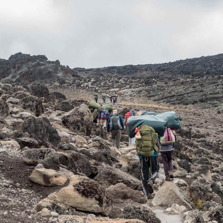 7 Days Mount Kilimanjaro climbing Itinerary on Lemosho Route