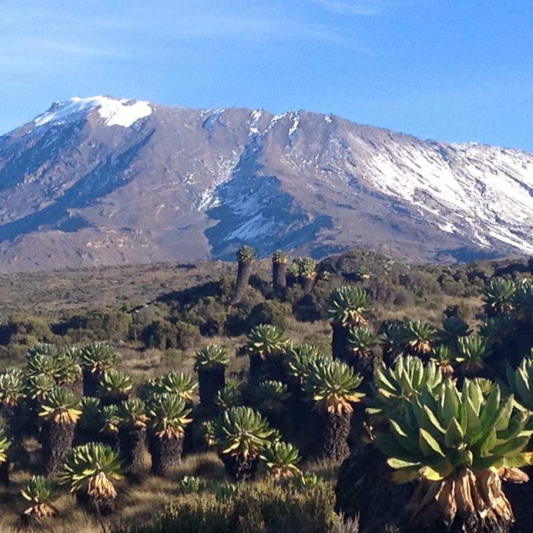 7 Days Mount Kilimanjaro climbing Itinerary on Umbwe Route