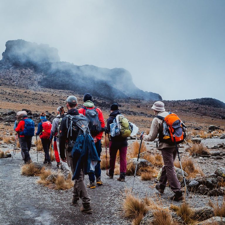 8 Days Mount Kilimanjaro climbing Itinerary on Lemosho Route