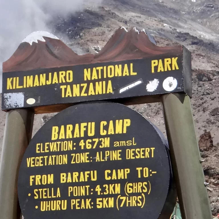 8 Days Mount Kilimanjaro climbing Itinerary on machame Route