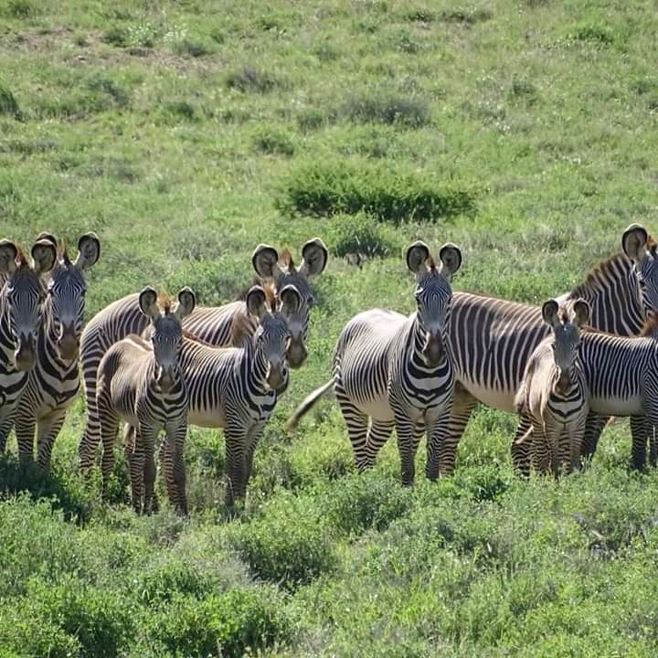 Arusha National Park