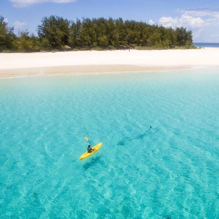 Half-Day Zanzibar Horse Riding Tour