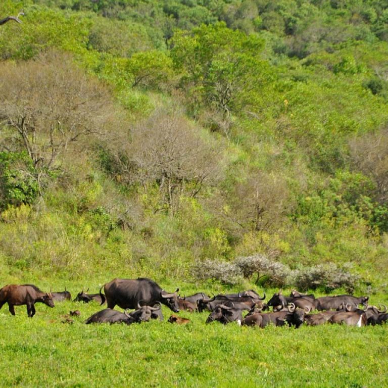 Ibanda-Kyerwa National Park