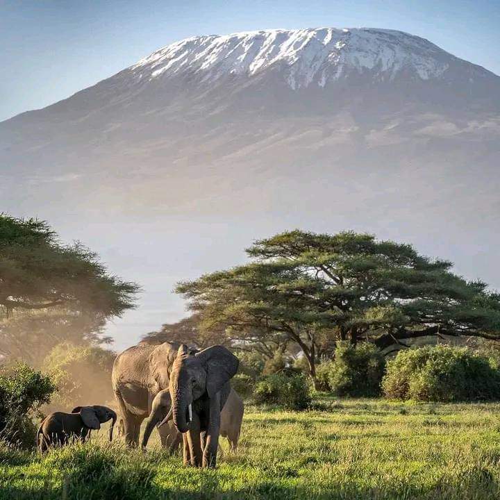 Kilimanjaro National Park