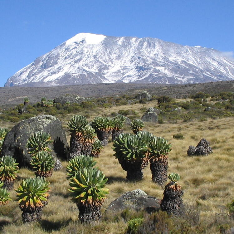 Kilimanjaro Shira Route Overview