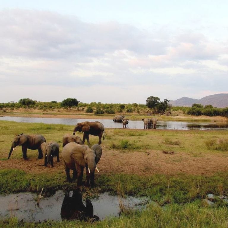 Ruaha National Park