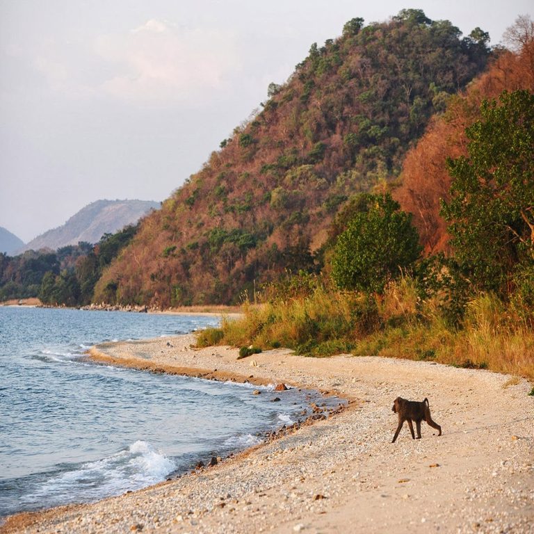 Saadani National Park