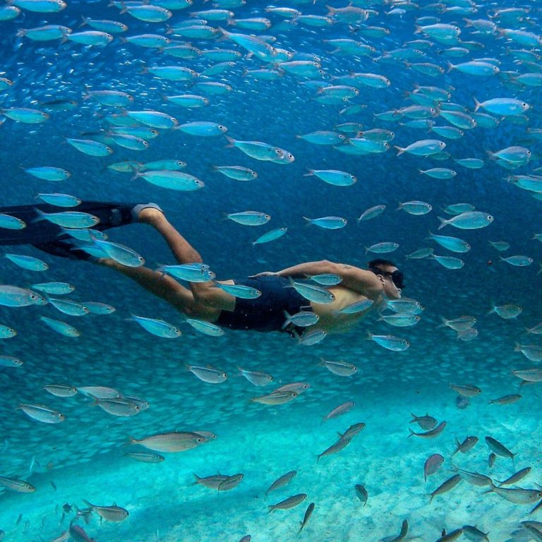 Snorkeling & Lunch At The Rock Restaurant