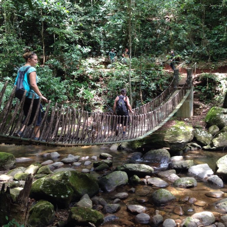 Udzungwa Mountains National Park