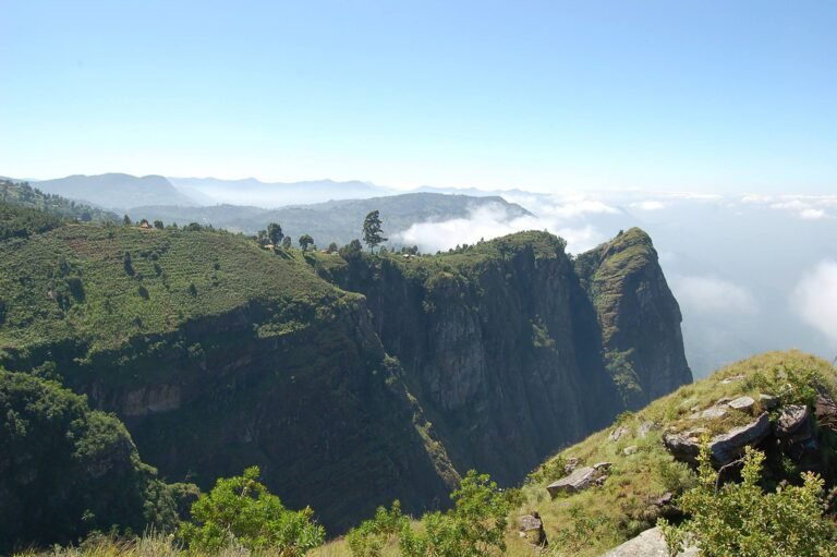 Usambara_Mountains