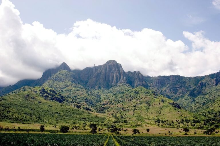West_Usambara_Mountains